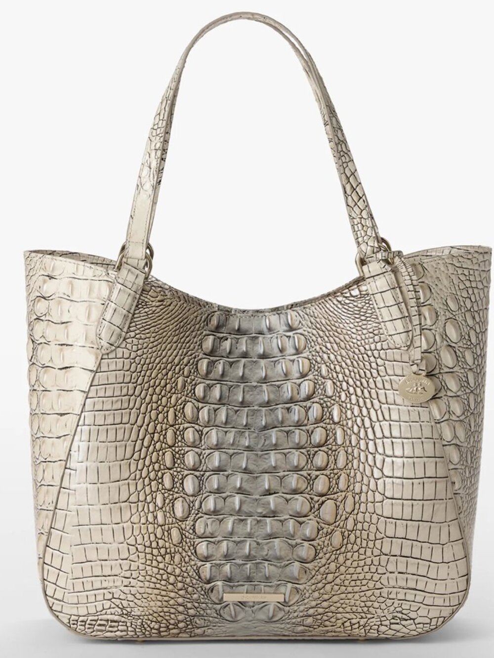 NWT ✅ Brahmin ALIZA Fossilized Melbourne Ombre Leather Tote ⭐ NWT, COA, DUST BAG